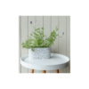 Jesse Oval Concrete Plant Pot - Image 2