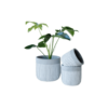 Jaden Concrete Plant Pots