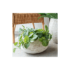 Bryon Short Concrete Plant Pot - Image 2