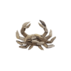 Driftwood Crab Wall Art