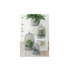 Bird Cloche Plant/Candle Holders (Set of 3) (SOLD OUT) - Image 2