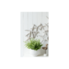 Thin Starfish Resin Wall Art - Image 2