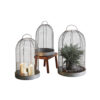 Dome Wire Cloche Plant/Candle Holders (Set of 3)