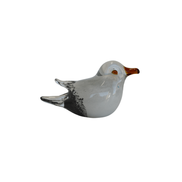 Echo The Sitting Seagull (Due Aug)