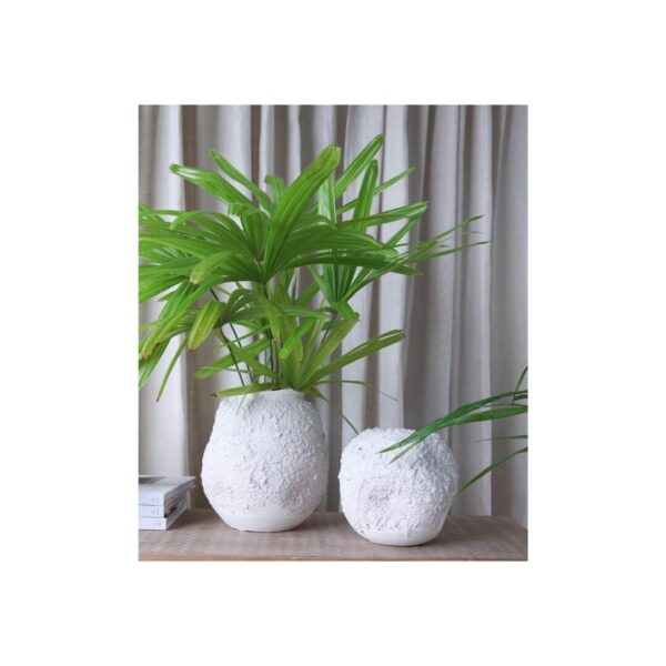 Terra Vase (Due Aug) - Image 2